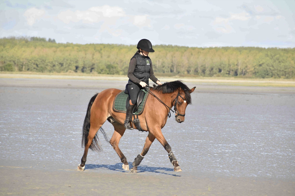 legging d'équitation à cheval