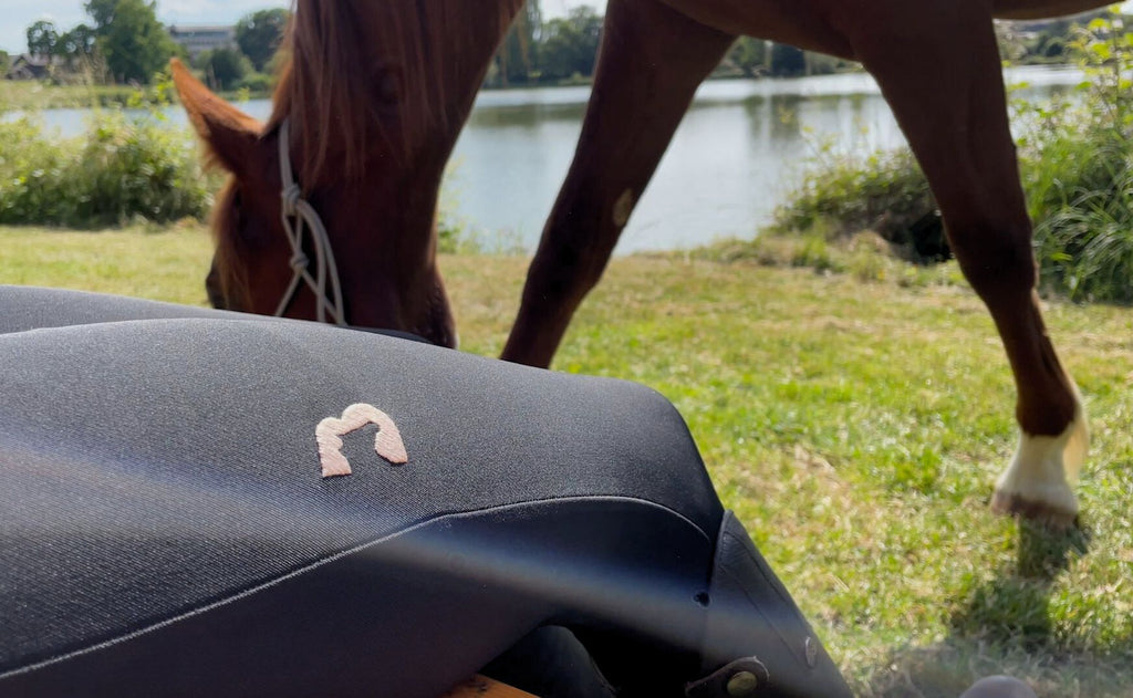 Pantalon Basanne équitation été