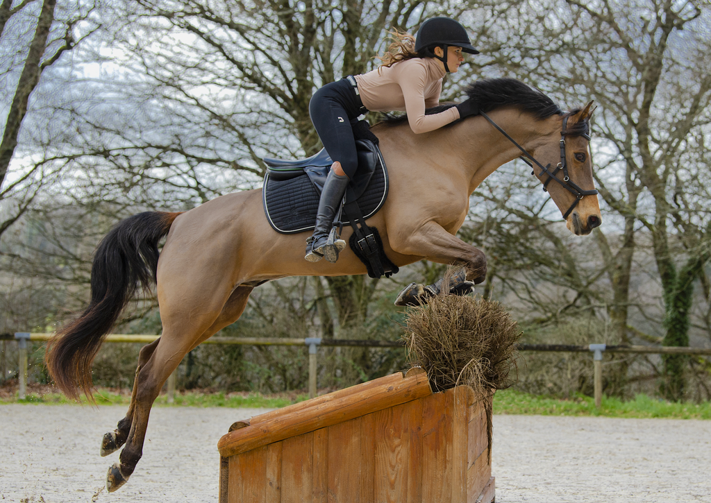 pantalon d'équitation basanne sur cheval en saut d'obstacles